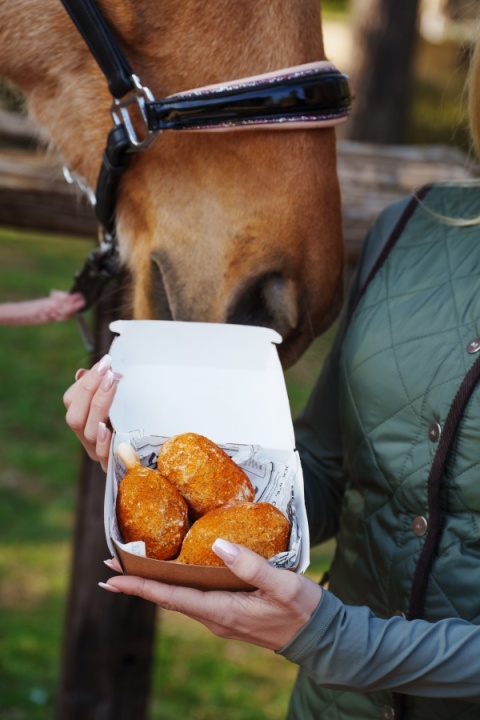 Limitowane pałeczki z kurczaka Candy Horse FOODIE