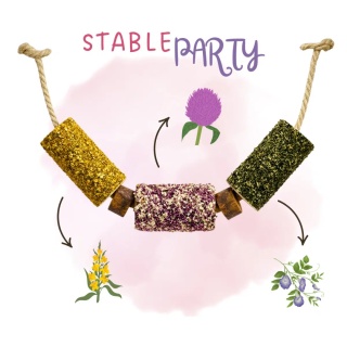 Limitowany drewniany ziołowy Candy Horse gryzak dla konia STABLE PARTY