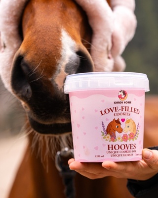 Walentynkowe kopytka Candy Horse