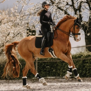 Czaprak ujeżdżeniowy Kentucky Saddle Pad Glitter Stone
