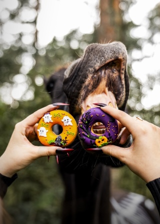 Donaty Halloweenowe Candy Horse