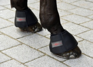 Kaloszki dla konia Covalliero Protecto