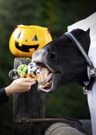 Precle z lukrem Halloweenowe Candy Horse