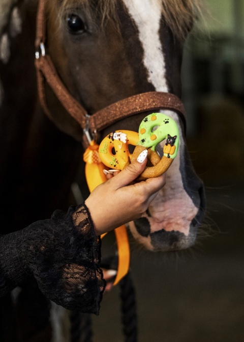 Precle z lukrem Halloweenowe Candy Horse