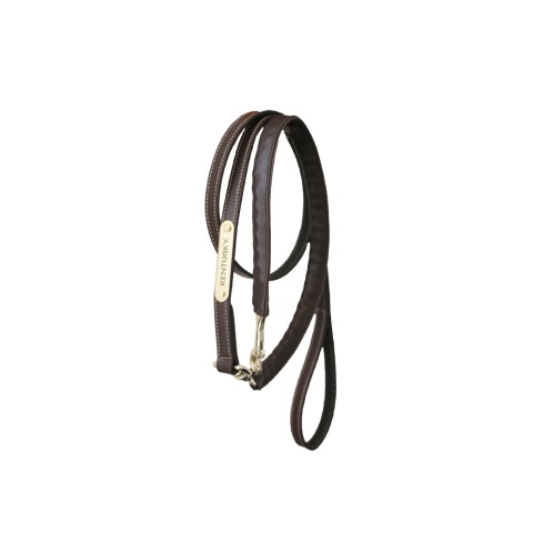 Uwiąz Kentucky Leather Covered Chain Lead