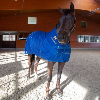Derka akupresurowa Kavalkade Accuhorsemat Cooler