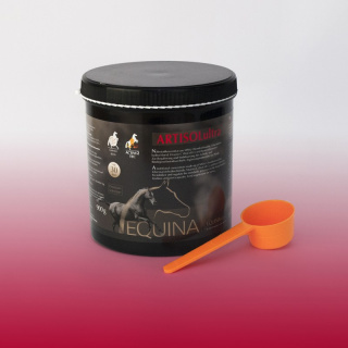 Artisol Ultra - regeneracja aparatu ruchu Equina 900 g