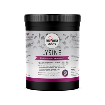 Lizyna dla koni NuVena Lysine 1300 g