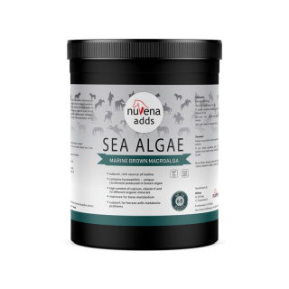 Algi dla koni NuVena Sea Algae (Ascophyllum nodosum) 1500 g