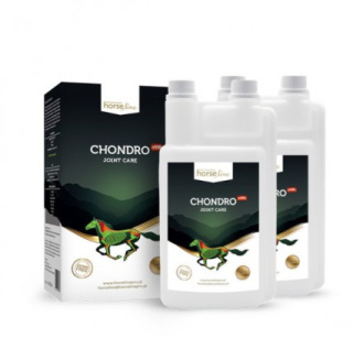 Chondro+HA HorseLinePRO 2x1000 ml