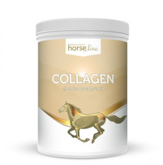 Kolagen dla koni HorseLinePRO 800 g