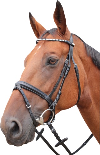 Ogłowie Kentaur "Springfield"