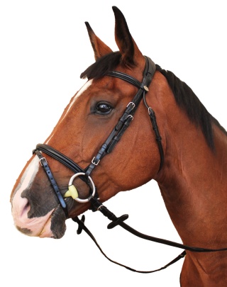 Ogłowie Kentaur "Tryon"