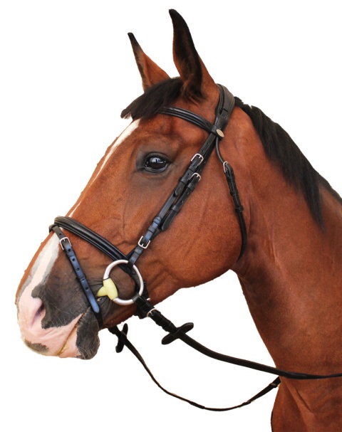 Ogłowie Kentaur "Tryon"