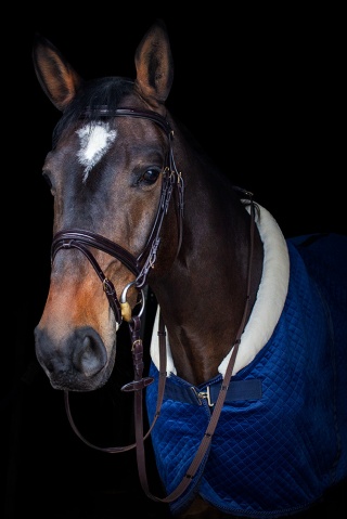 Ogłowie Kentaur "Savannah"