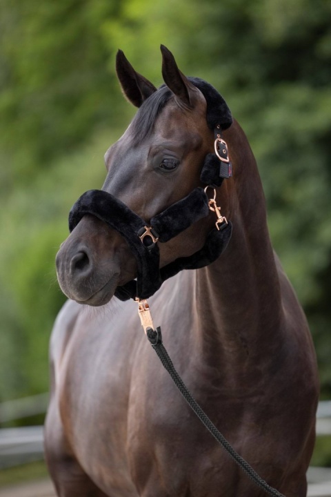 Kantar z futerkiem Covalliero SuperSoft