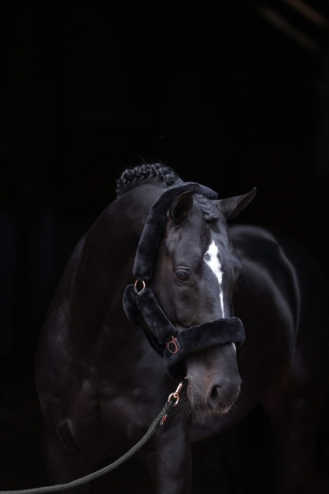 Kantar z futerkiem Covalliero SuperSoft