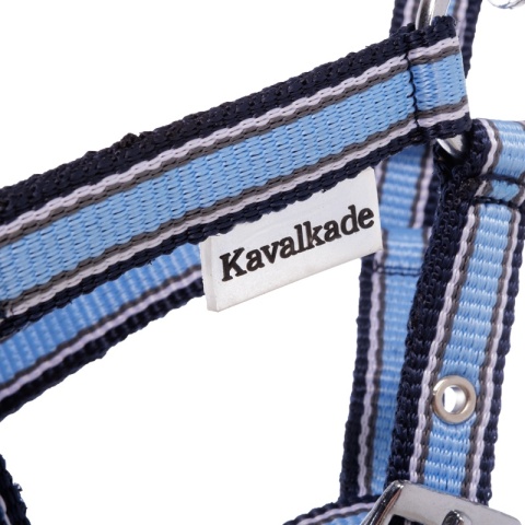 Nylonowy kantarek źrebięcy Kavalkade