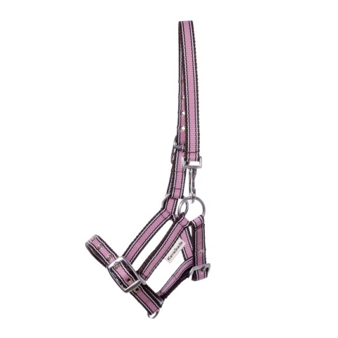 Nylonowy kantarek źrebięcy Kavalkade