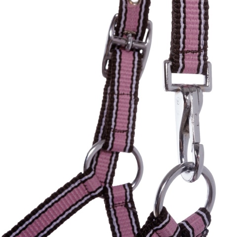 Nylonowy kantarek źrebięcy Kavalkade