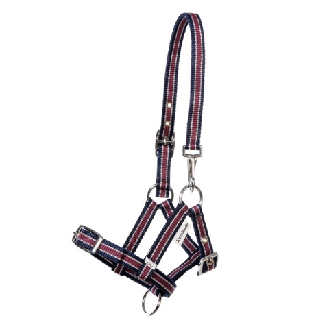 Nylonowy kantarek źrebięcy Kavalkade