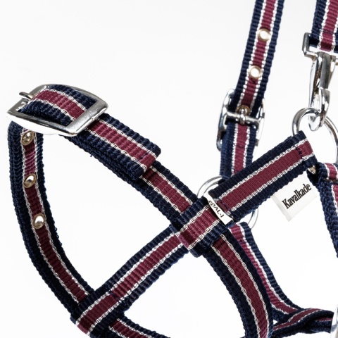 Nylonowy kantarek źrebięcy Kavalkade