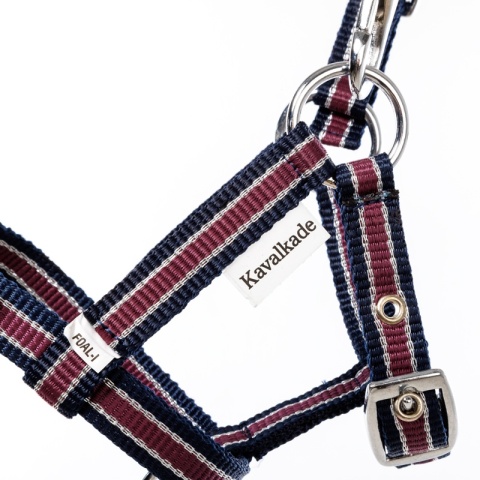 Nylonowy kantarek źrebięcy Kavalkade