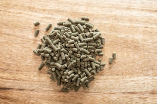 Suplement na rozwój mięśni St Hippolyt Gold Medal – 5 kg