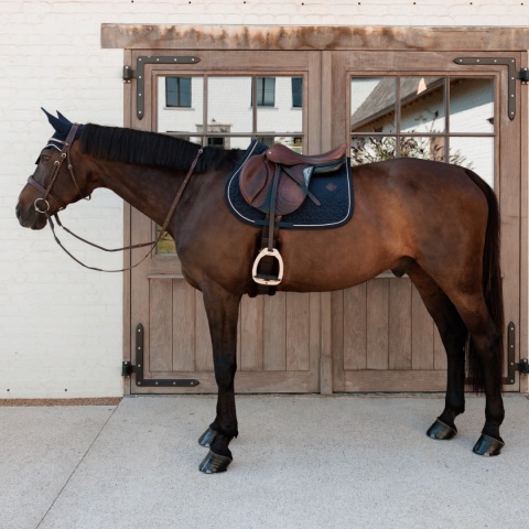 Czaprak skokowy Kentucky Velvet