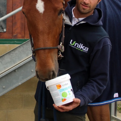 Suplement wspierający stawy Unika Condro Plus 1,5 kg