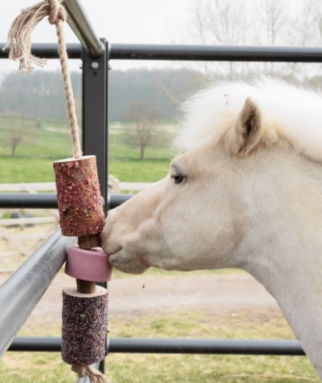 Gryzak z solą dla koni Grooming Deluxe Relax Horse Toy Sammy