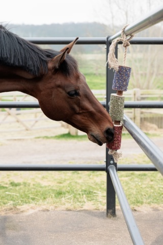 Gryzak dla koni Grooming Deluxe Wooden Relax Horse Toy