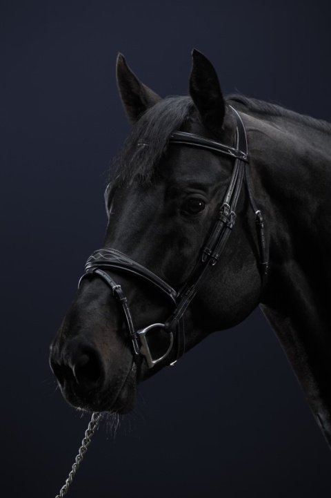 Ogłowie anatomiczne Dy'on US Jumping Collection