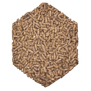 Pasza dla koni z miopatiami (PSSM 1 i 2) St Hippolyt WES Basic Crunch – 25 kg