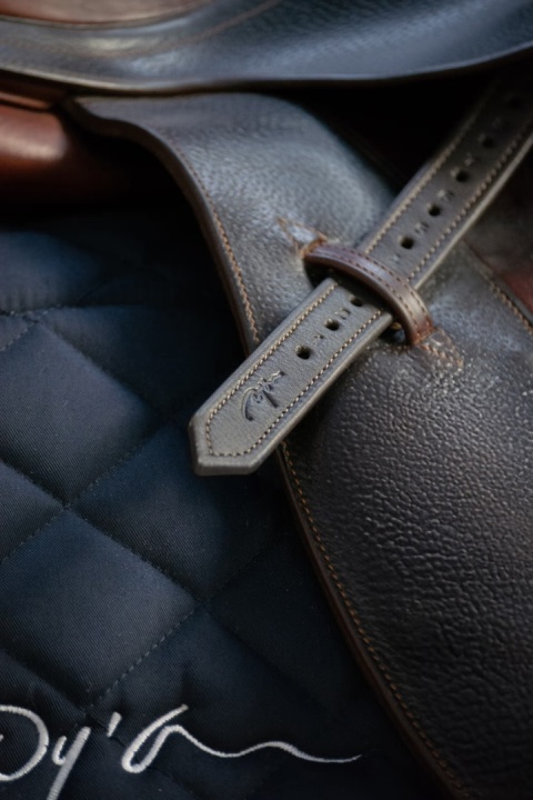 Puśliska Dy'on Premium