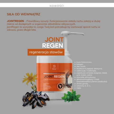 Suplement Hippovet Pharmacy JointRegen – odżywienie aparatu ruchu 2,5L