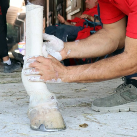 Bandaż wspomagajacy regenerację nóg Unika Comfort Wrap